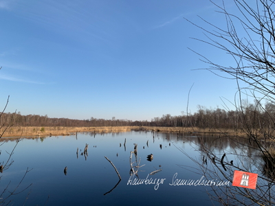 Moorsee im Wittmoor am 14.3.2022 Moorsee im Wittmoor am 14.3.2022