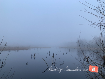 Moorsee im Wittmoor am 15.3.2022 Moorsee im Wittmoor am 15.3.2022