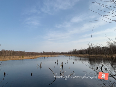 Moorsee im Wittmoor am 21.3.2022 Moorsee im Wittmoor am 21.3.2022