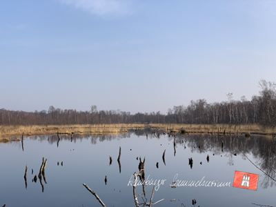 Moorsee im Wittmoor am 25.3.2022 Moorsee im Wittmoor am 25.3.2022