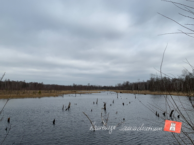 Moorsee im Wittmoor am 26.3.2022 Moorsee im Wittmoor am 26.3.2022