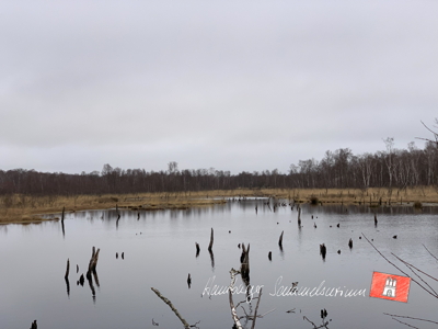 Moorsee im Wittmoor am 28.3.2022 Moorsee im Wittmoor am 28.3.2022