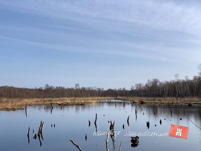 Moorsee im Wittmoor am 29.3.2022 Moorsee im Wittmoor am 29.3.2022