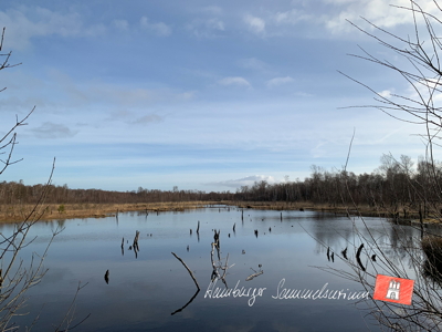 Moorsee im Wittmoor am 5.4.2022 Moorsee im Wittmoor am 5.4.2022