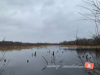 Moorsee im Wittmoor am 6.4.2022 Moorsee im Wittmoor am 6.4.2022