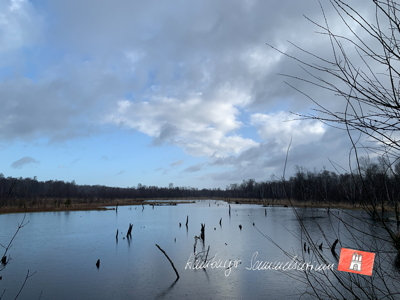 Moorsee im Wittmoor am 8.4.2022 Moorsee im Wittmoor am 8.4.2022