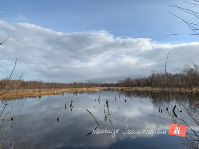 Moorsee im Wittmoor am 11.4.2022 Moorsee im Wittmoor am 11.4.2022