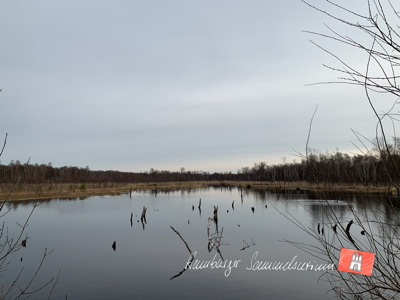 Moorsee im Wittmoor am 12.4.2022 Moorsee im Wittmoor am 12.4.2022