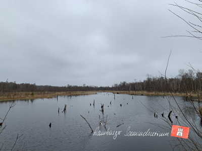 Moorsee im Wittmoor am 15.4.2022 Moorsee im Wittmoor am 15.4.2022