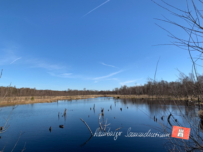 Moorsee im Wittmoor am 16.4.2022 Moorsee im Wittmoor am 16.4.2022