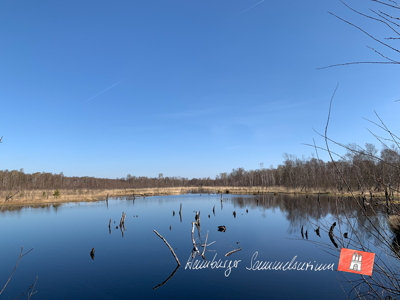 Moorsee im Wittmoor am 18.4.2022 Moorsee im Wittmoor am 18.4.2022