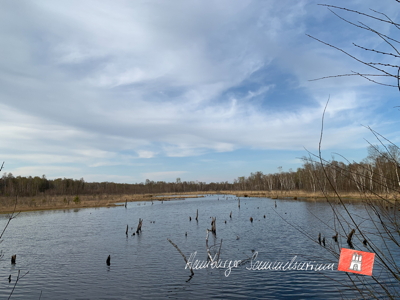 Moorsee im Wittmoor am 20.4.2022 Moorsee im Wittmoor am 20.4.2022