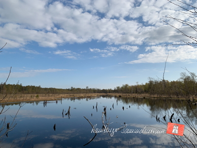 Moorsee im Wittmoor am 26.4.2022 Moorsee im Wittmoor am 26.4.2022