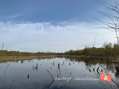 Moorsee im Wittmoor am 29.4.2022 Moorsee im Wittmoor am 29.4.2022