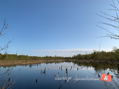 Moorsee im Wittmoor am 2.5.2022 Moorsee im Wittmoor am 2.5.2022
