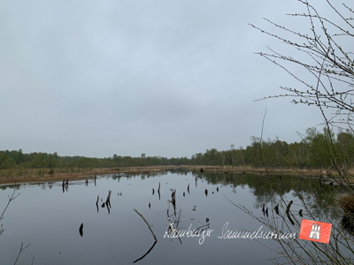 Moorsee im Wittmoor am 3.5.2022 Moorsee im Wittmoor am 3.5.2022