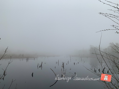 Moorsee im Wittmoor am 6.5.2022 Moorsee im Wittmoor am 6.5.2022