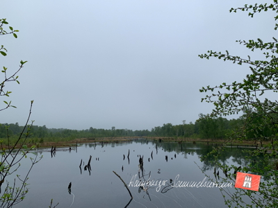 Moorsee im Wittmoor am 17.5.2022 Moorsee im Wittmoor am 17.5.2022