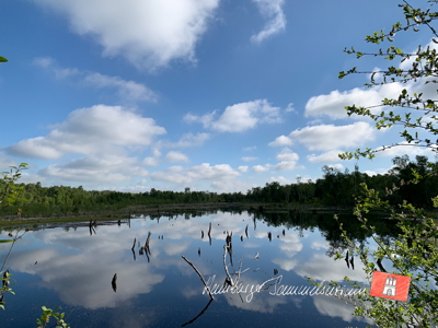 Moorsee im Wittmoor am 3.6.2022 Moorsee im Wittmoor am 3.6.2022
