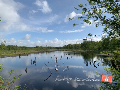 Moorsee im Wittmoor am 14.6.2022 Moorsee im Wittmoor am 14.6.2022