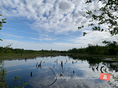Moorsee im Wittmoor am 15.6.2022 Moorsee im Wittmoor am 15.6.2022