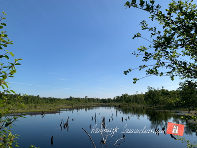 Moorsee im Wittmoor am 17.6.2022 Moorsee im Wittmoor am 17.6.2022