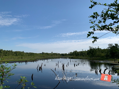 Moorsee im Wittmoor am 30.6.2022 Moorsee im Wittmoor am 30.6.2022