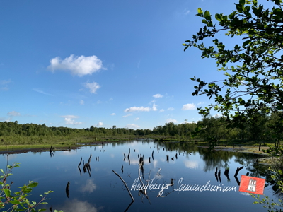 Moorsee im Wittmoor am 4.7.2022 Moorsee im Wittmoor am 4.7.2022
