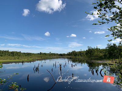 Moorsee im Wittmoor am 14.7.2022 Moorsee im Wittmoor am 14.7.2022