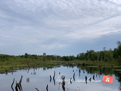 Moorsee im Wittmoor am 18.7.2022 Moorsee im Wittmoor am 18.7.2022