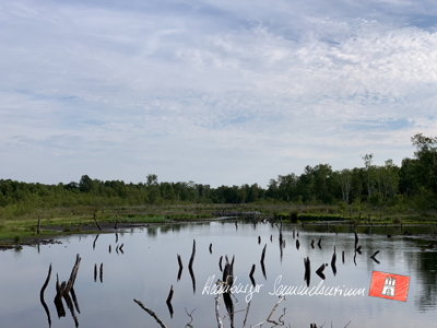 Moorsee im Wittmoor am 25.7.2022 Moorsee im Wittmoor am 25.7.2022