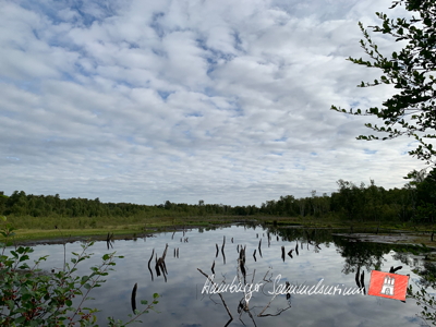Moorsee im Wittmoor am 28.7.2022 Moorsee im Wittmoor am 28.7.2022