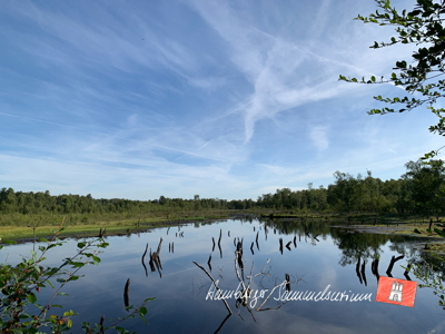 Moorsee im Wittmoor am 2.8.2022 Moorsee im Wittmoor am 2.8.2022