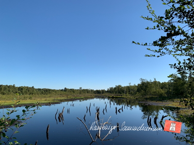 Moorsee im Wittmoor am 12.8.2022 Moorsee im Wittmoor am 12.8.2022