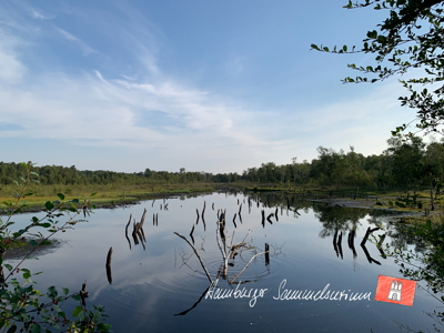 Moorsee im Wittmoor am 18.8.2022 Moorsee im Wittmoor am 18.8.2022