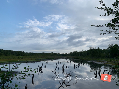 Moorsee im Wittmoor am 22.8.2022 Moorsee im Wittmoor am 22.8.2022