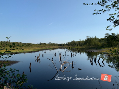 Moorsee im Wittmoor am 24.8.2022 Moorsee im Wittmoor am 24.8.2022