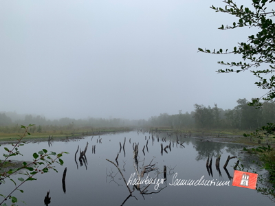 Moorsee im Wittmoor am 25.8.2022 Moorsee im Wittmoor am 25.8.2022