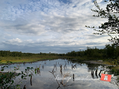Moorsee im Wittmoor am 30.8.2022 Moorsee im Wittmoor am 30.8.2022