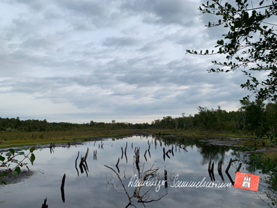 Moorsee im Wittmoor am 5.9.2022 Moorsee im Wittmoor am 5.9.2022