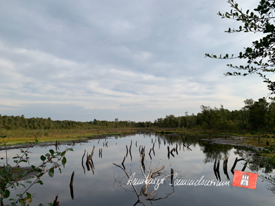 Moorsee im Wittmoor am 6.9.2022 Moorsee im Wittmoor am 6.9.2022