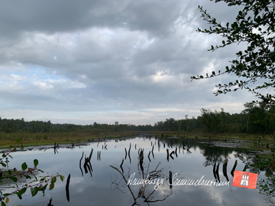 Moorsee im Wittmoor am 9.9.2022 Moorsee im Wittmoor am 9.9.2022
