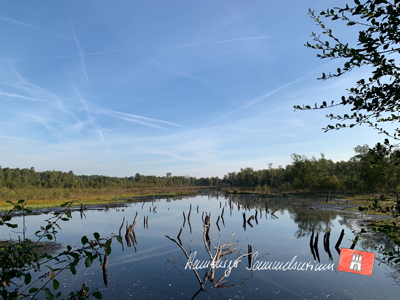 Moorsee im Wittmoor am 12.9.2022 Moorsee im Wittmoor am 12.9.2022