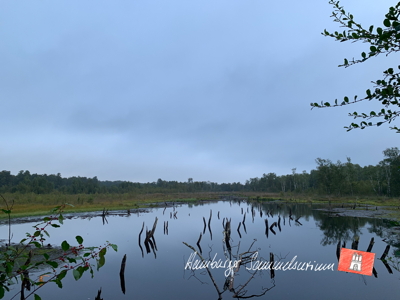Moorsee im Wittmoor am 13.9.2022 Moorsee im Wittmoor am 13.9.2022