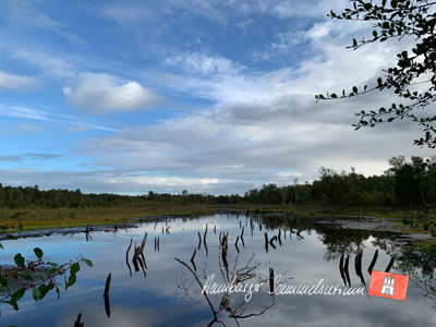 Moorsee im Wittmoor am 15.9.2022 Moorsee im Wittmoor am 15.9.2022