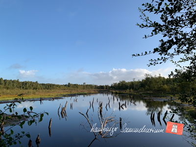 Moorsee im Wittmoor am 16.9.2022 Moorsee im Wittmoor am 16.9.2022