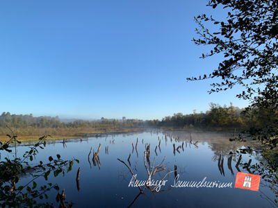 Moorsee im Wittmoor am 21.9.2022 Moorsee im Wittmoor am 21.9.2022