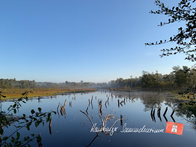 Moorsee im Wittmoor am 22.9.2022 Moorsee im Wittmoor am 22.9.2022