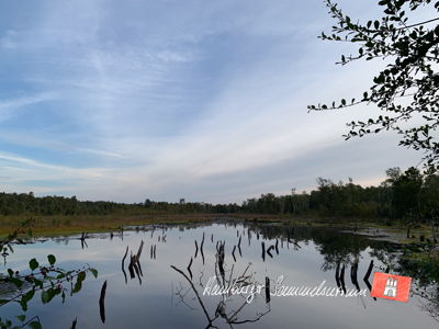 Moorsee im Wittmoor am 23.9.2022 Moorsee im Wittmoor am 23.9.2022