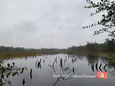 Moorsee im Wittmoor am 24.9.2022 Moorsee im Wittmoor am 24.9.2022